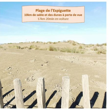 Suite Thalassa 1Ere Ligne Plages Du Couchant Wifi - Rossiconciergerie - Linge Inclus La Grande-Motte Exterior foto