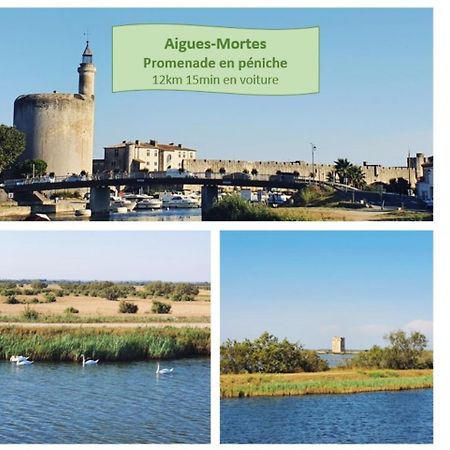 Suite Thalassa 1Ere Ligne Plages Du Couchant Wifi - Rossiconciergerie - Linge Inclus La Grande-Motte Exterior foto